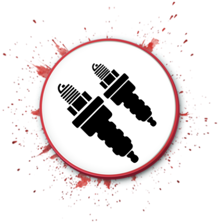 Picture for category SPARK PLUGS